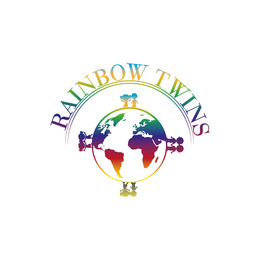 RAINBOW TWINS trademark