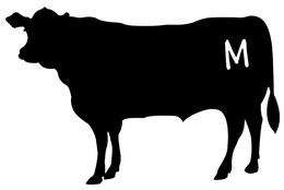 M trademark