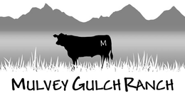 M MULVEY GULCH RANCH trademark