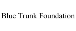 BLUE TRUNK FOUNDATION trademark