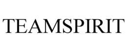 TEAMSPIRIT trademark