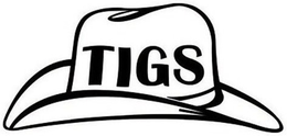 TIGS trademark
