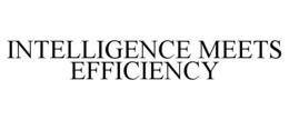 INTELLIGENCE MEETS EFFICIENCY trademark