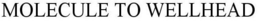 MOLECULE TO WELLHEAD trademark