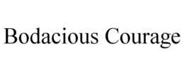 BODACIOUS COURAGE trademark