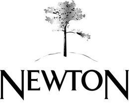 NEWTON trademark