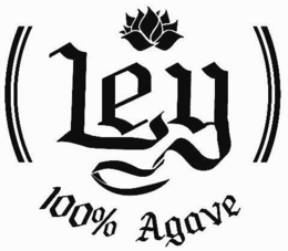 LEY 100% AGAVE trademark