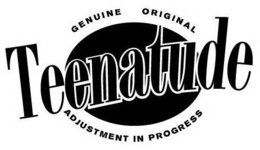 GENUINE ORIGINAL TEENATUDE ADJUSTMENT IN PROGRESS trademark