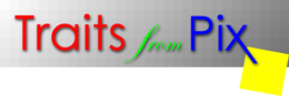 TRAITS FROM PIX trademark