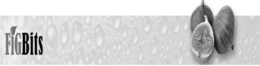 FIGBITS trademark