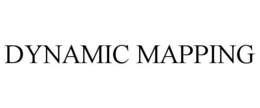 DYNAMIC MAPPING trademark