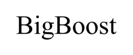 BIGBOOST trademark