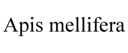 APIS MELLIFERA trademark