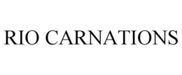RIO CARNATIONS trademark