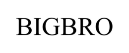 BIGBRO trademark