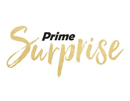 PRIME SURPRISE trademark