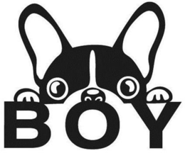 BOY trademark