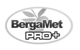BERGAMET PRO + trademark