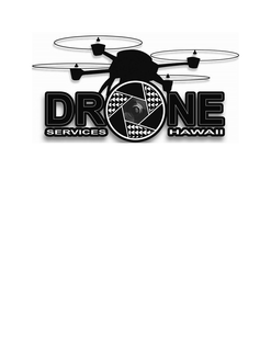 DRONE SERVICES HAWAII trademark
