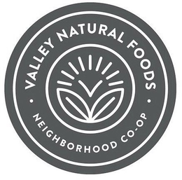 V VALLEY NATURAL FOODS · NEIGHBORHOOD CO-OP · trademark