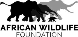 AFRICAN WILDLIFE FOUNDATION trademark