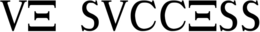 VE SVCCESS trademark