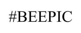 #BEEPIC trademark
