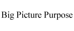 BIG PICTURE PURPOSE trademark