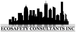 ECOSAFETY CONSULTANTS INC trademark