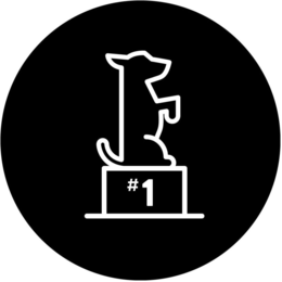 #1 trademark