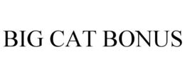 BIG CAT BONUS trademark