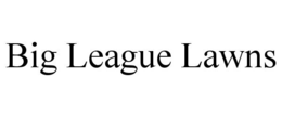 BIG LEAGUE LAWNS trademark