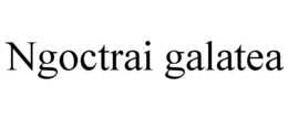 NGOCTRAI GALATEA trademark