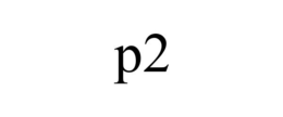 P2 trademark
