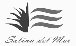 SALINA DEL MAR trademark