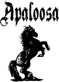 APALOOSA trademark