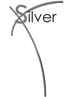 X SILVER trademark