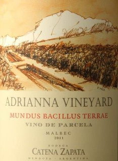 F. MAZA ADRIANNA VINEYARD MUNDUS BACILLUS TERRAE VINO DE PARCELA MALBEC 2011 BODEGA CATENA ZAPATA MENDOZA ARGENTINA trademark