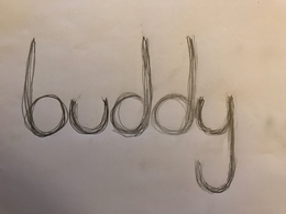 BUDDY trademark