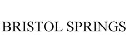 BRISTOL SPRINGS trademark
