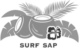 SURF SAP trademark