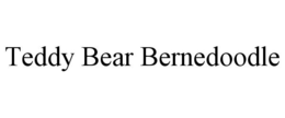 TEDDY BEAR BERNEDOODLE trademark