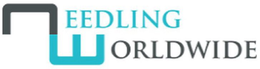 NEEDLING WORLDWIDE trademark