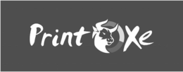 PRINTOXE trademark