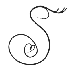 S trademark