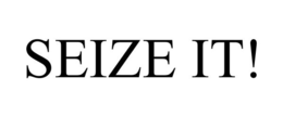 SEIZE IT! trademark