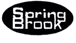 SPRING BROOK trademark