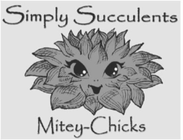 SIMPLY SUCCULENTS MITEY-CHICKS trademark