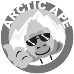 ARCTIC APE trademark