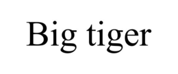 BIG TIGER trademark